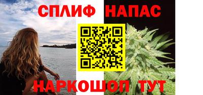 прущие грибы Кинель