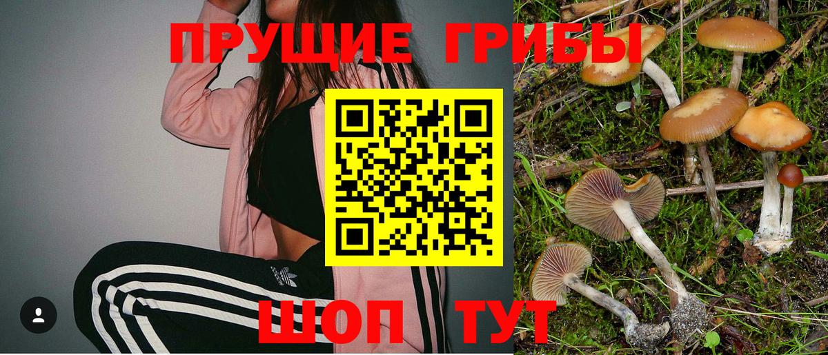 Галлюциногенные грибы Cubensis Краснодар