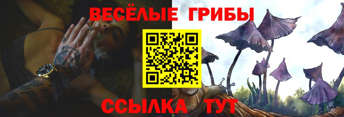 Галлюциногенные грибы Psilocybine cubensis  Вход с VPN  Краснодар 